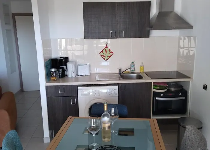 Rdc Avec Terrasse Et Parking Prive * Agde